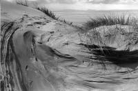 Gullane, East Lothian. Sand dune patterns. Black and white