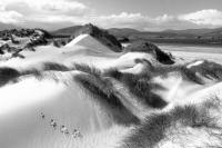 Durness Caithness. Sand dunes with footprints. Black and white