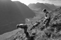 Argyll.Deer stalking, dead stag being dragged from hill.Black and white