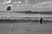 North Berwick West Golf Course. Golfer putting. Black and white