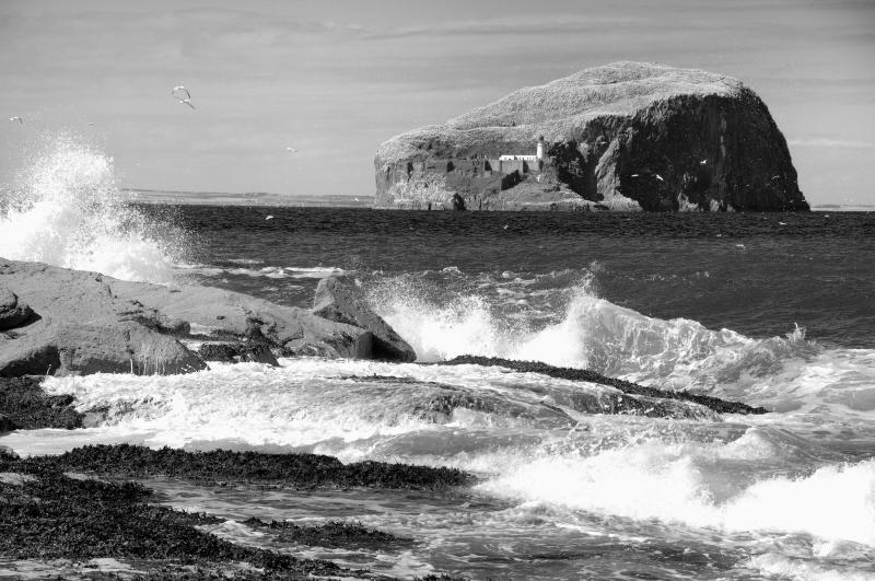 Bass Rock with lighthouse, seascape with breaking waves. Black and white
