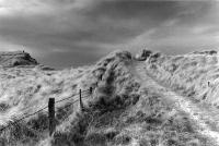 Caithness, beach path through sand dunes. Black and white print.