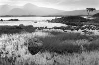Blackmount. Bridge of Orchy. Lochan. Moody landscape. Black and white